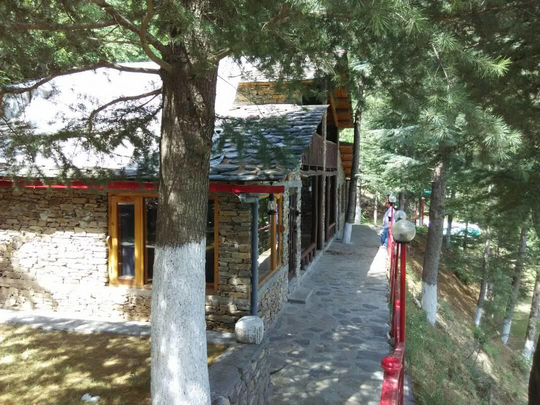 Готель Rajgarh Hills Екстер'єр фото